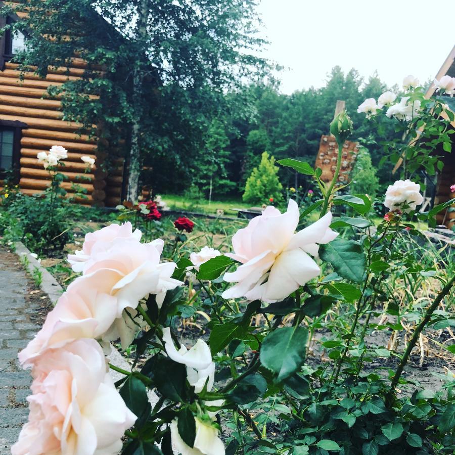 Gostynna Sadyba Kit Bayun Teterivka Exterior foto